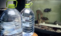 Можно ли в аквариум бутилированную воду?